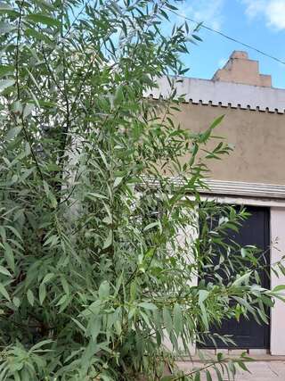 Апартаменты Смарт квартира сдана 2019 Одесса Апартаменты с 1 спальней-6