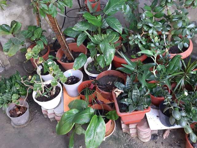 Апартаменты Смарт квартира сдана 2019 Одесса-6