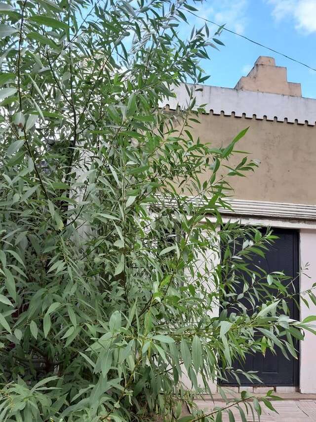 Апартаменты Смарт квартира сдана 2019 Одесса-11